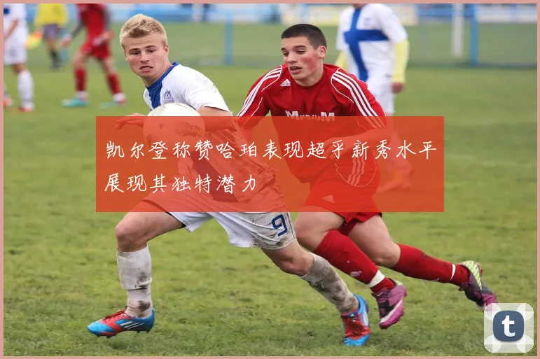 凯尔登称赞哈珀表现超乎新秀水平展现其独特潜力