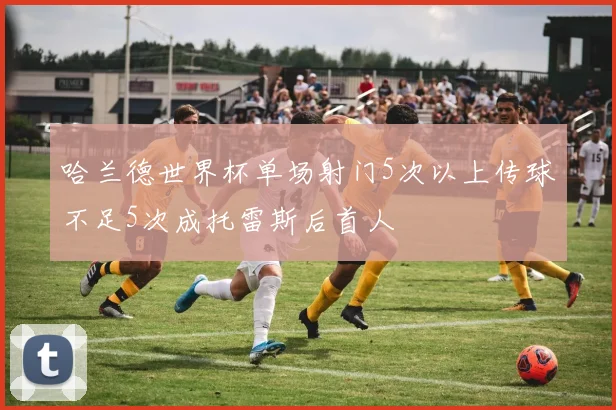 哈兰德世界杯单场射门5次以上传球不足5次成托雷斯后首人